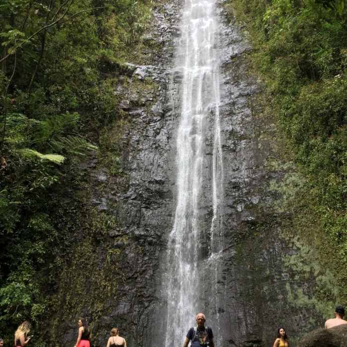 Near Manoa Falls Trail