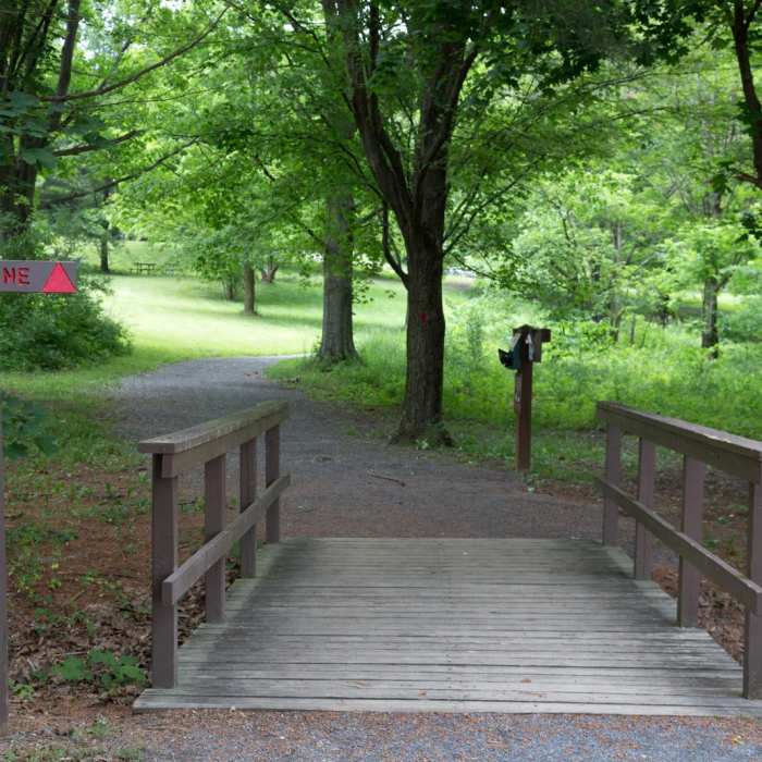 Near Limestone Trail