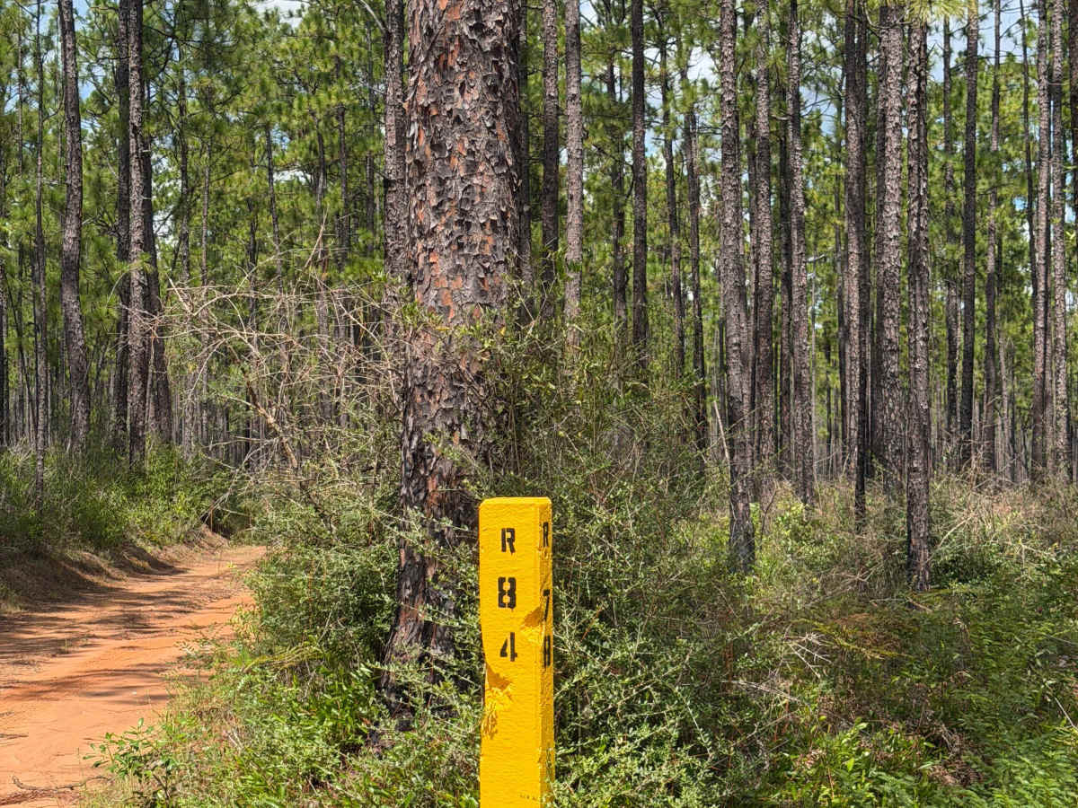 Blackwater River R84 photo 2