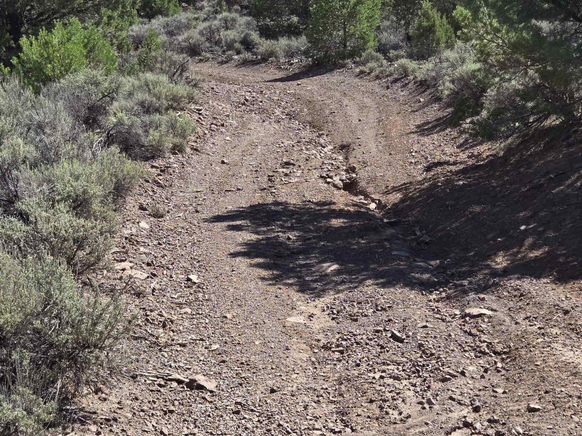 County Road 3866 photo 4