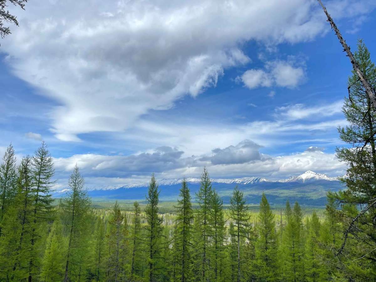 Archibald Loop trail photo