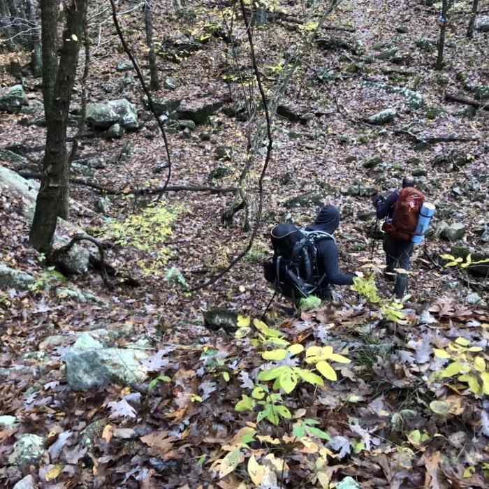 Near Brushy Creek Trail
