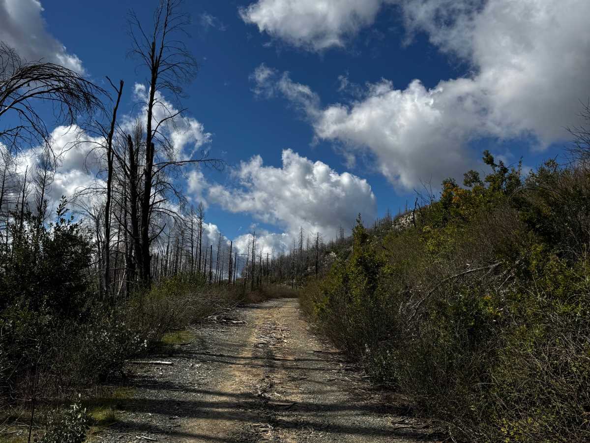 Martin Creek photo 3