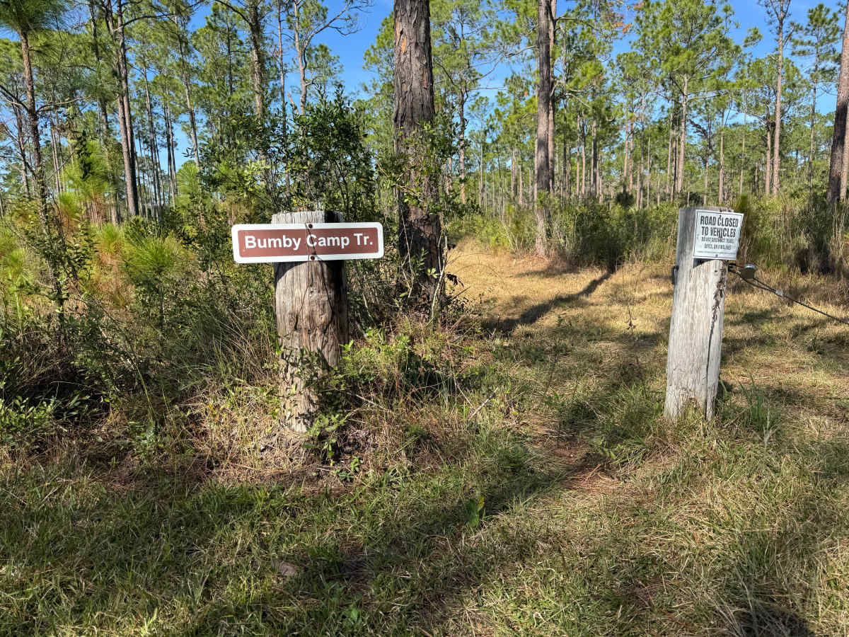 Long Bluff Road photo 3
