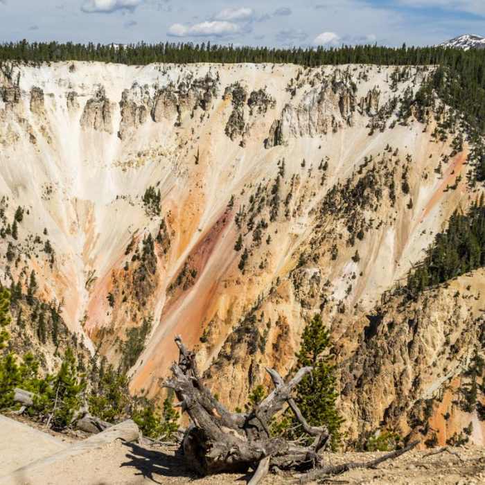 Near Ribbon Lake Trail