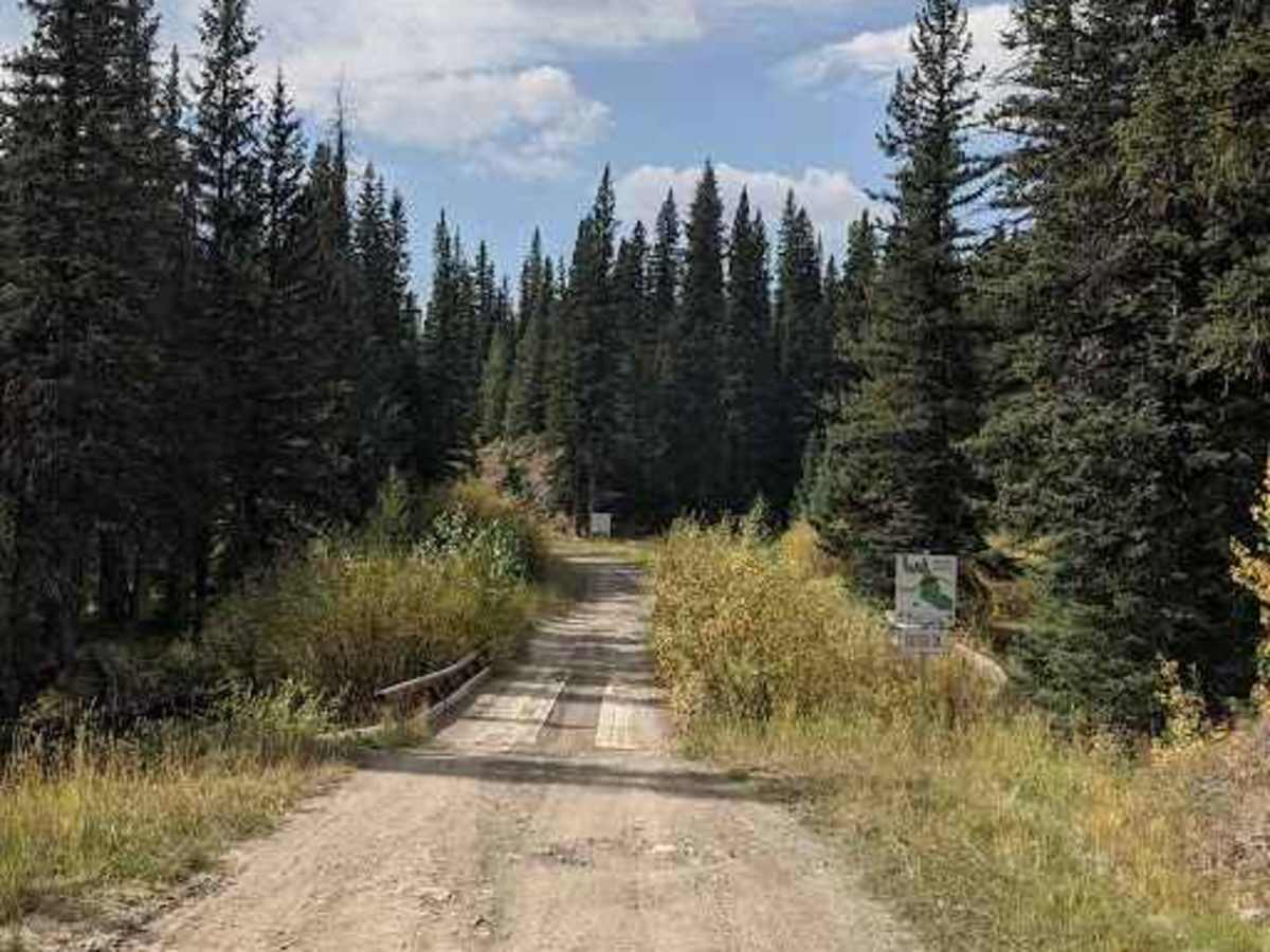 Dutch Creek Road  trail photo