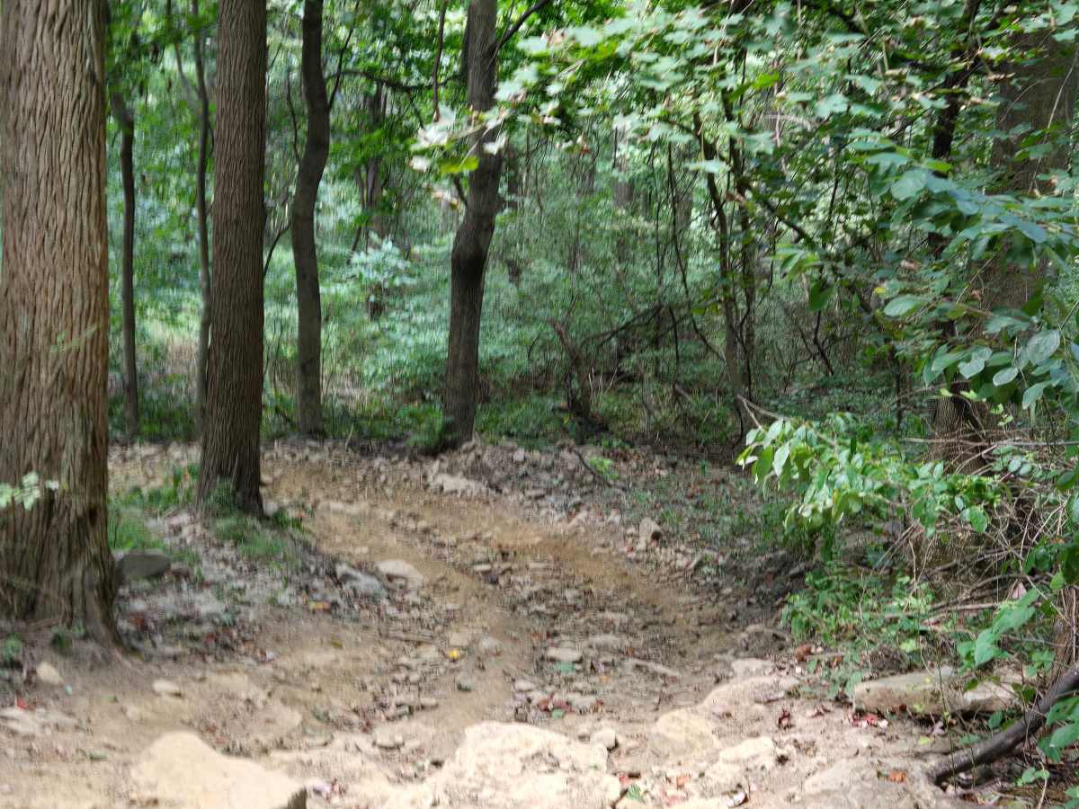 Trail 22 photo 3