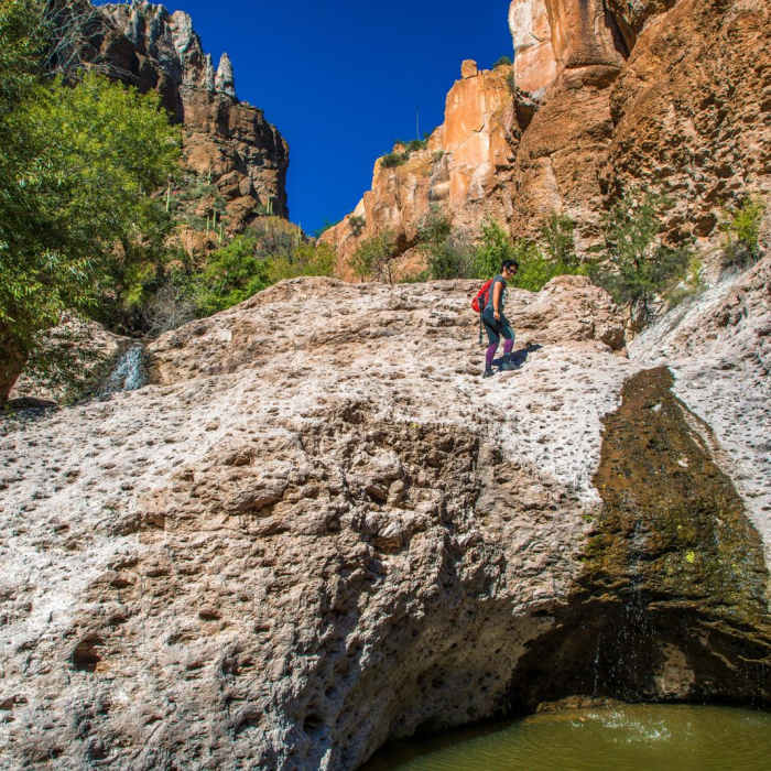 Near Aravaipa Canyon Trail