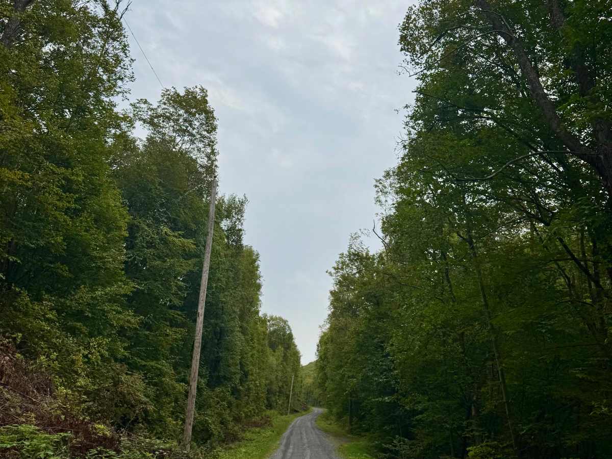 Jack Dent Road photo 4