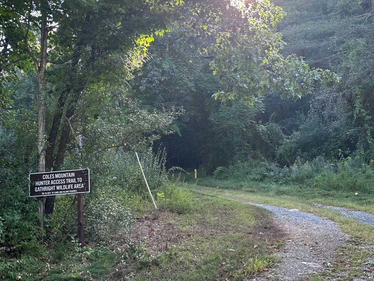 Leatherwood Lodge photo 2