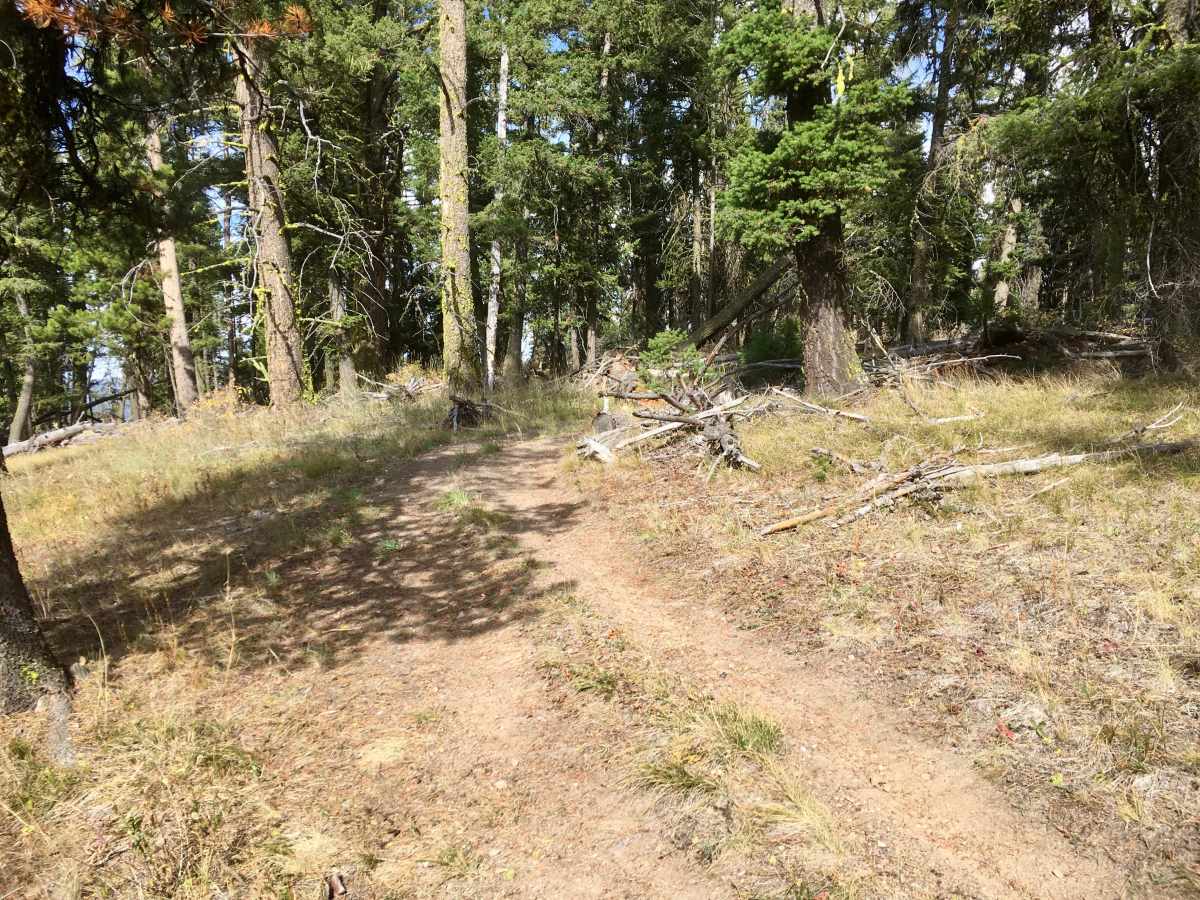 Kerlee Ridge ATV photo 5