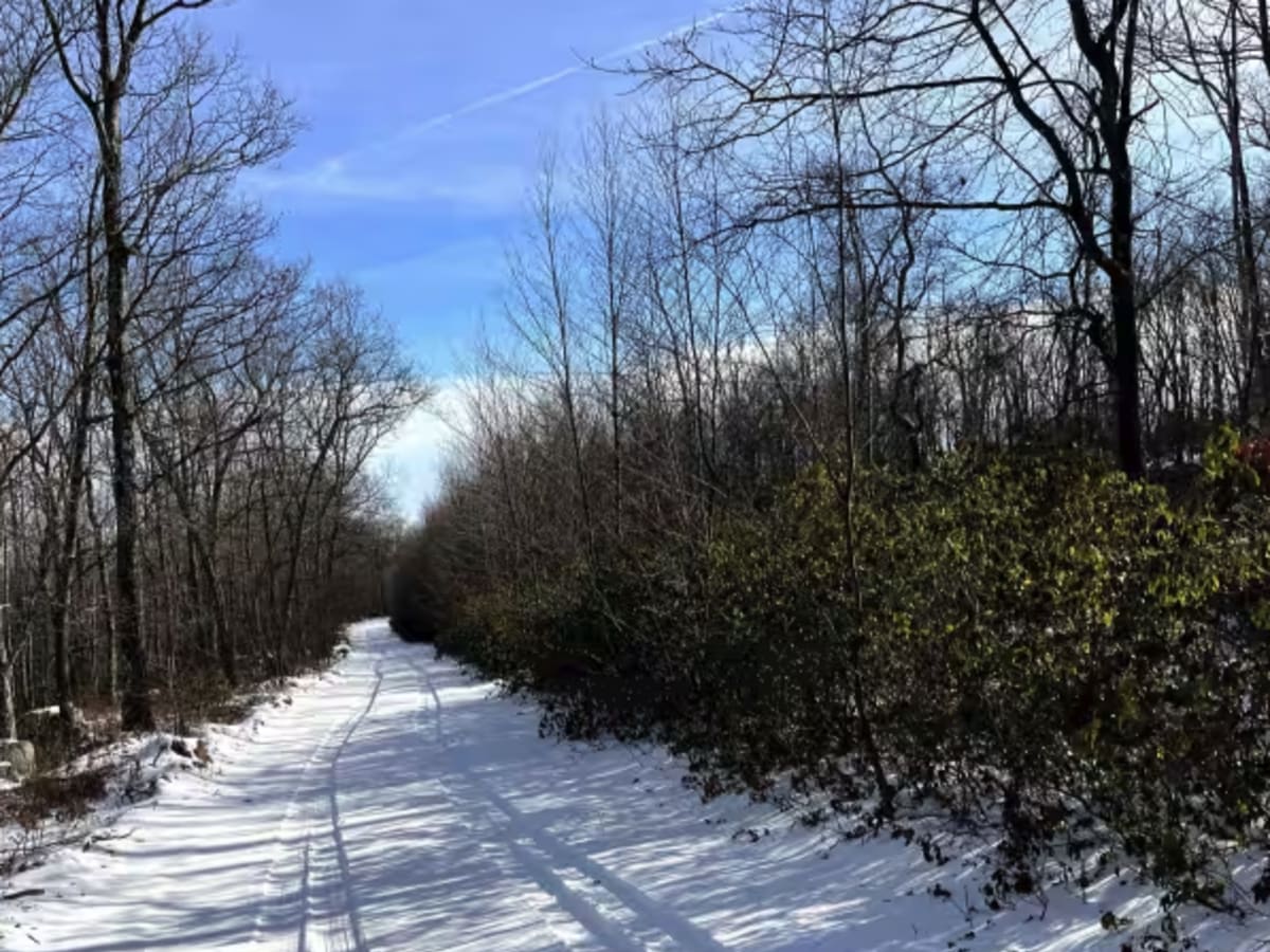 Coffer's Camp Trail photo 5