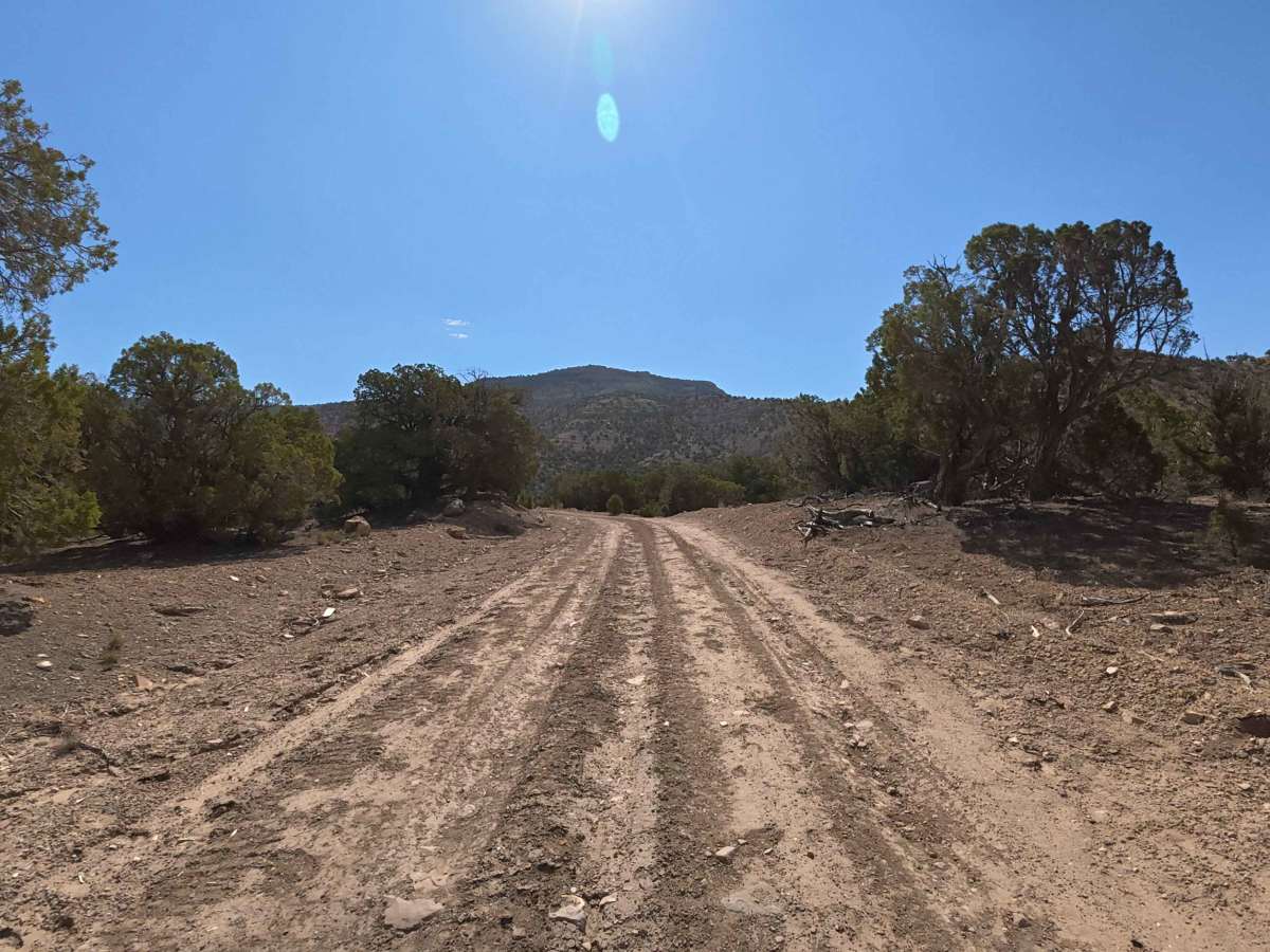 BLM 149 photo 2