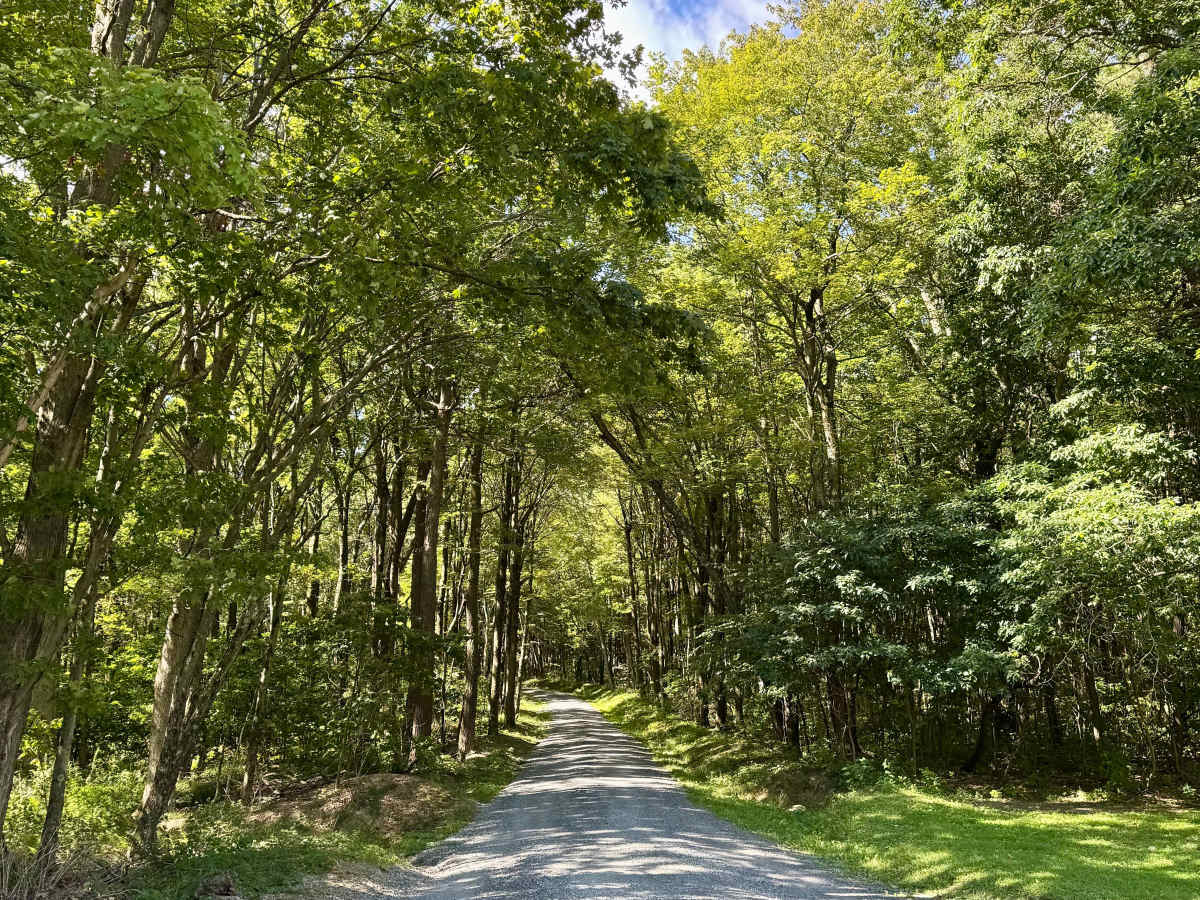 Martin Hill Road photo 3