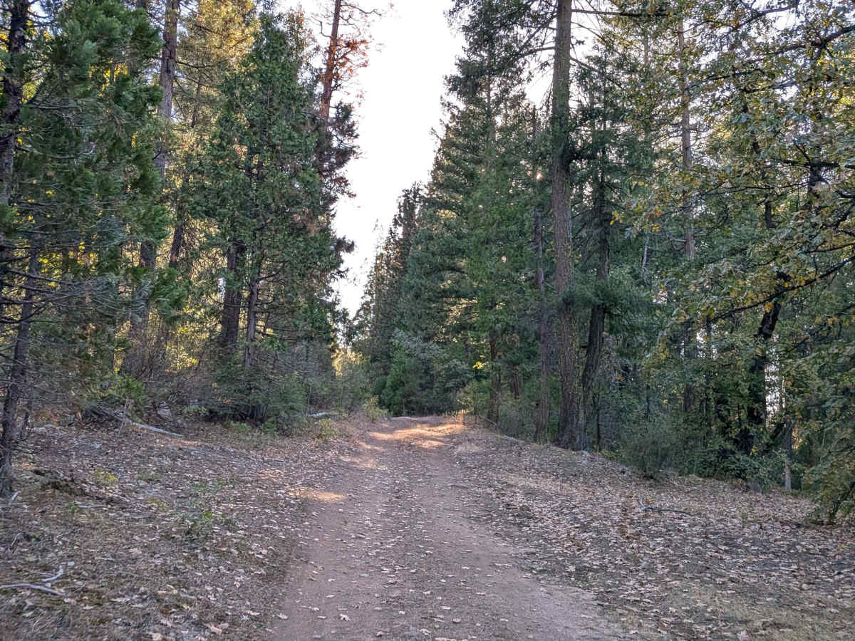 FS 5N48Y trail photo