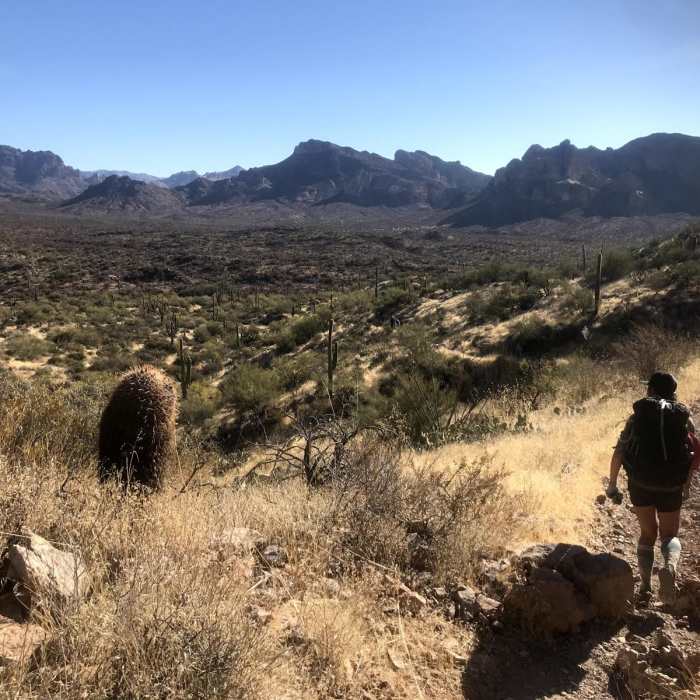 Near Dutchman Trail #104