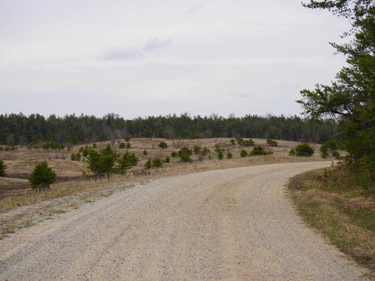 Watson Road photo 5