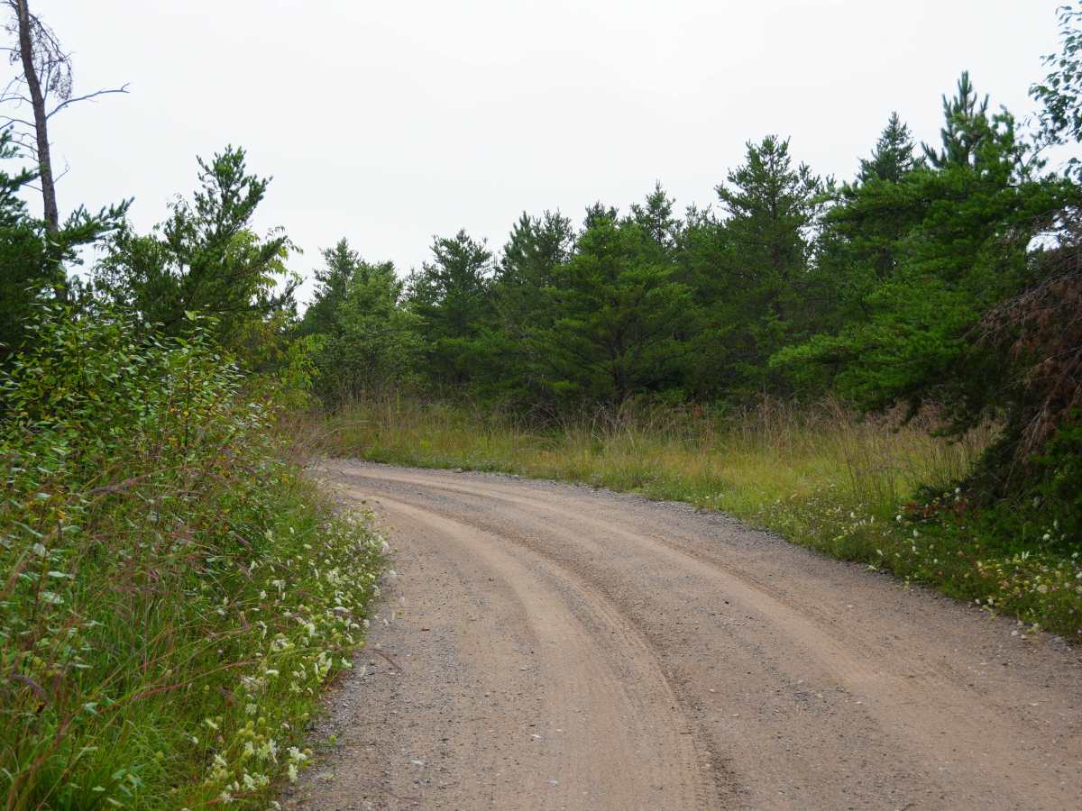 Deer Road photo 2