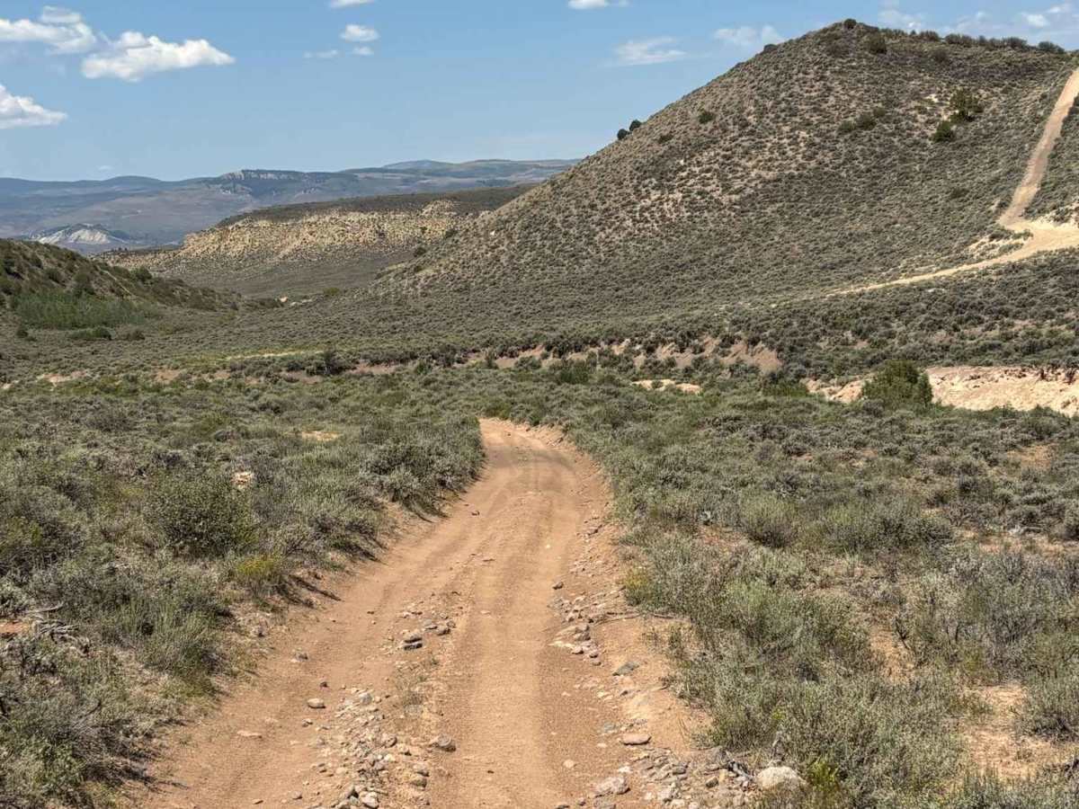 Northern Wolford Connector photo 5