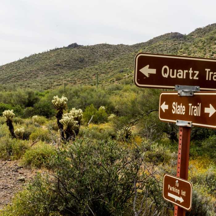 Near Quartz Loop Trail