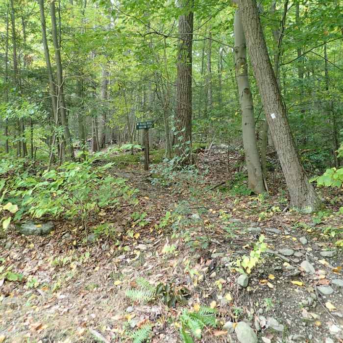 Near Black Rock - Scenic Trail Loop