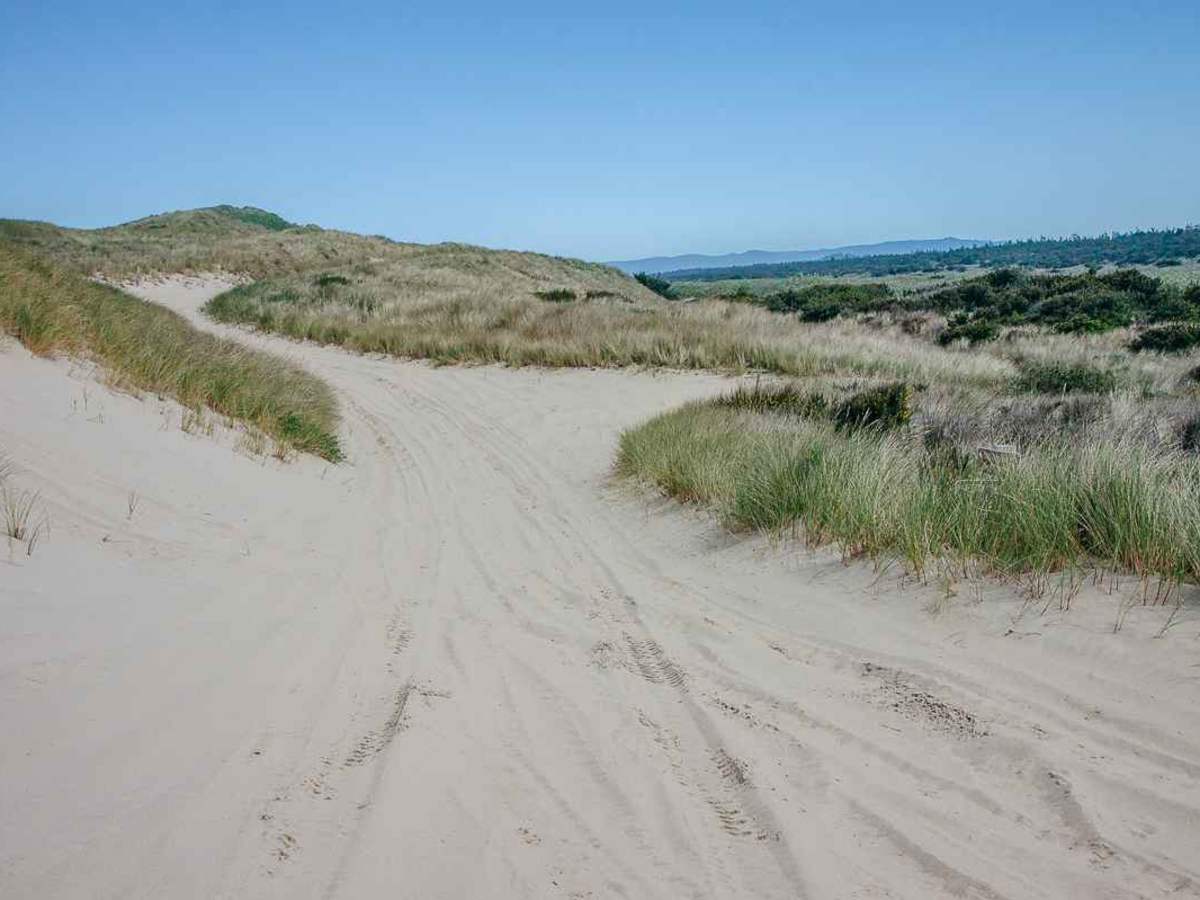 Coast Guard OHV Trail photo 2