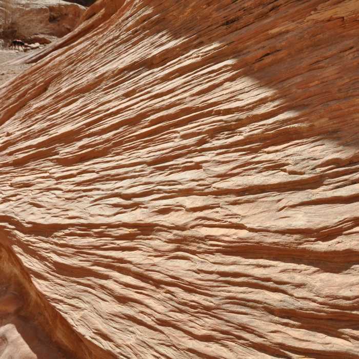 Near Little Wild Horse Canyon Trail