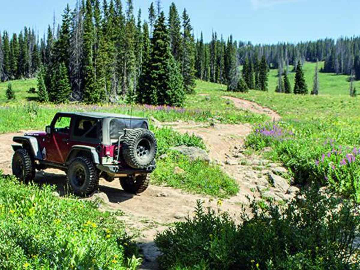 Rabbit Ears Peak trail photo