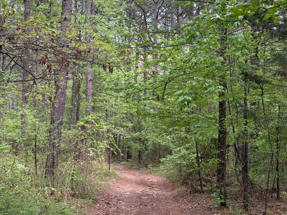 Shores Lake Dam Loop photo 6