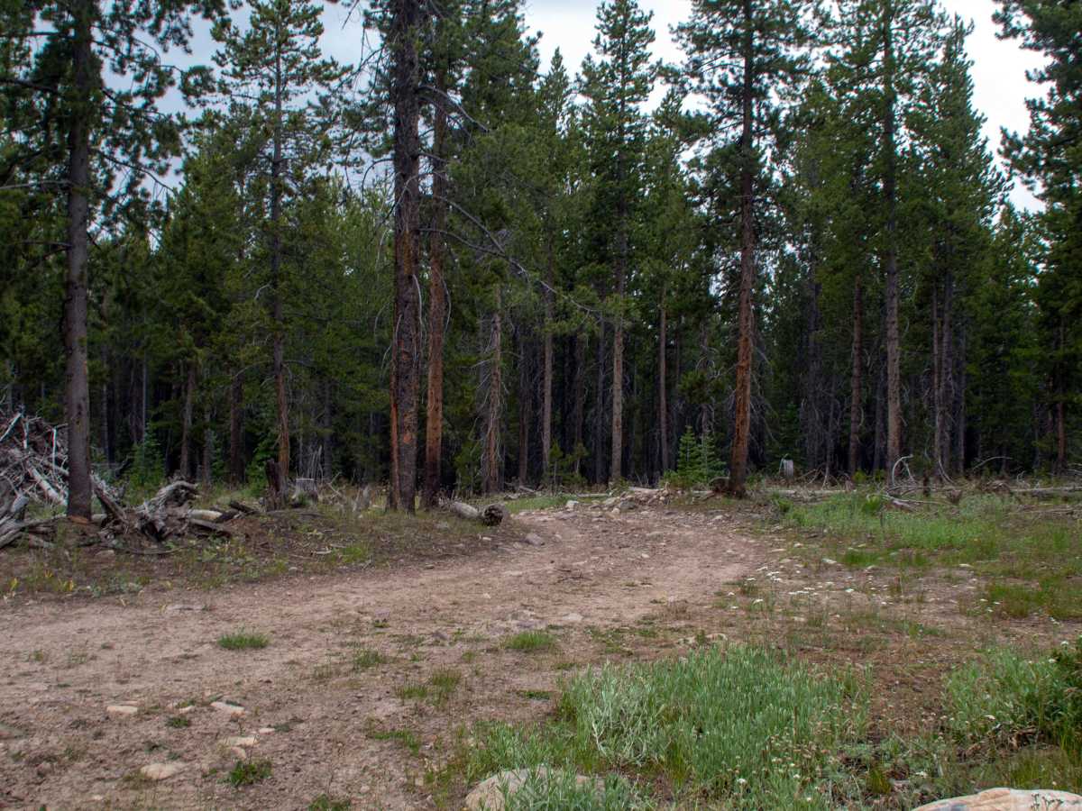 Alexander Loop - FR80940 photo 4