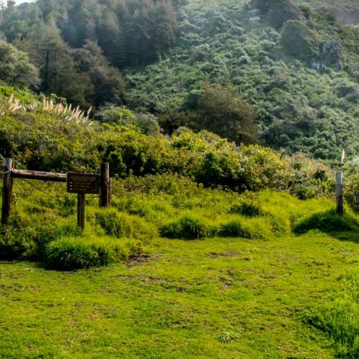 Near Kirk Creek / Vicente Flat Trail