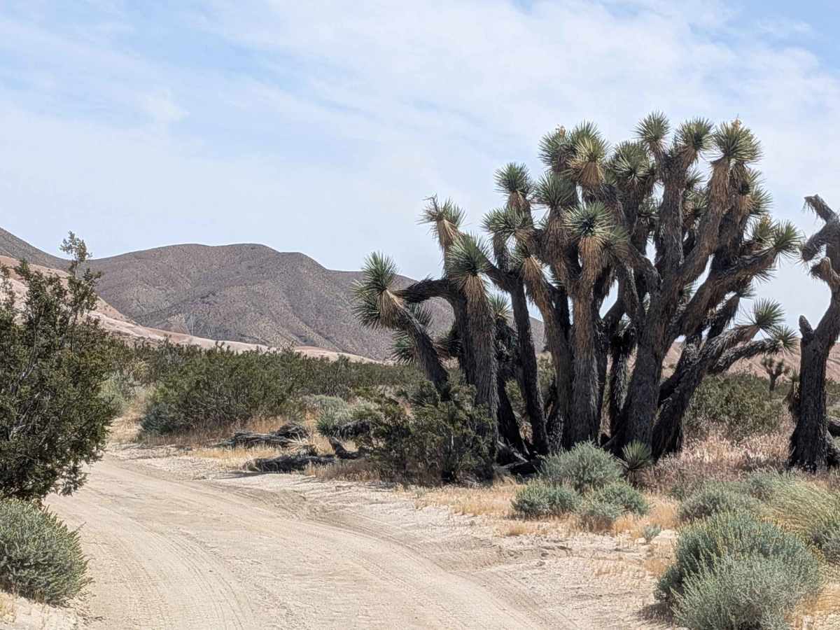 Tuft Point Road photo 2