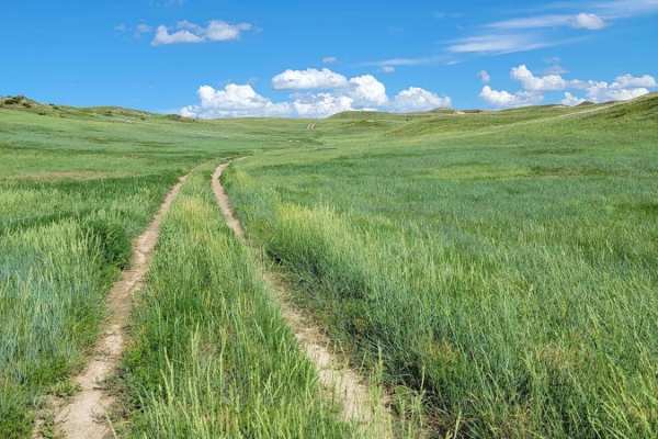 Tour of the Grasslands