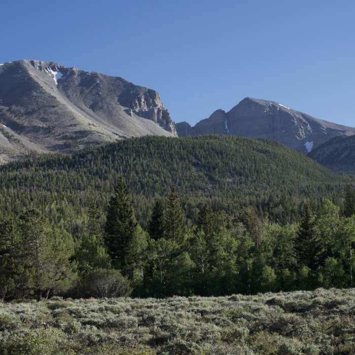 Near Lehman Creek Trail
