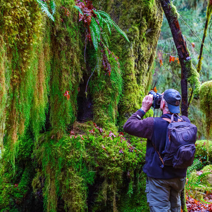 Near Spruce Nature Trail