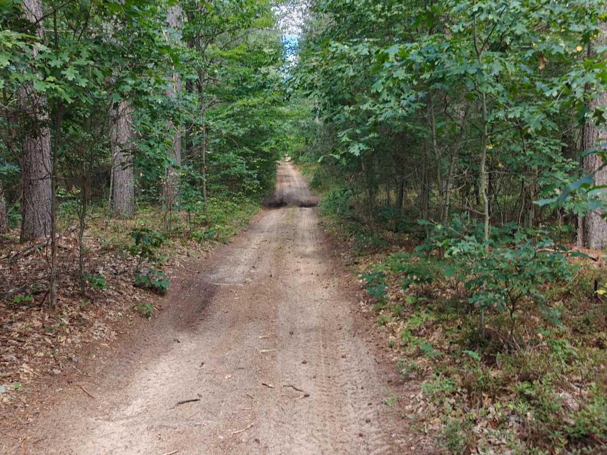 Everett Trail trail photo