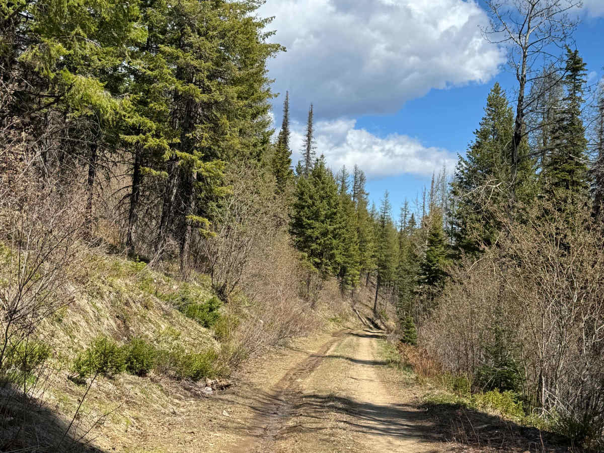 Nancy Creek Road photo 5