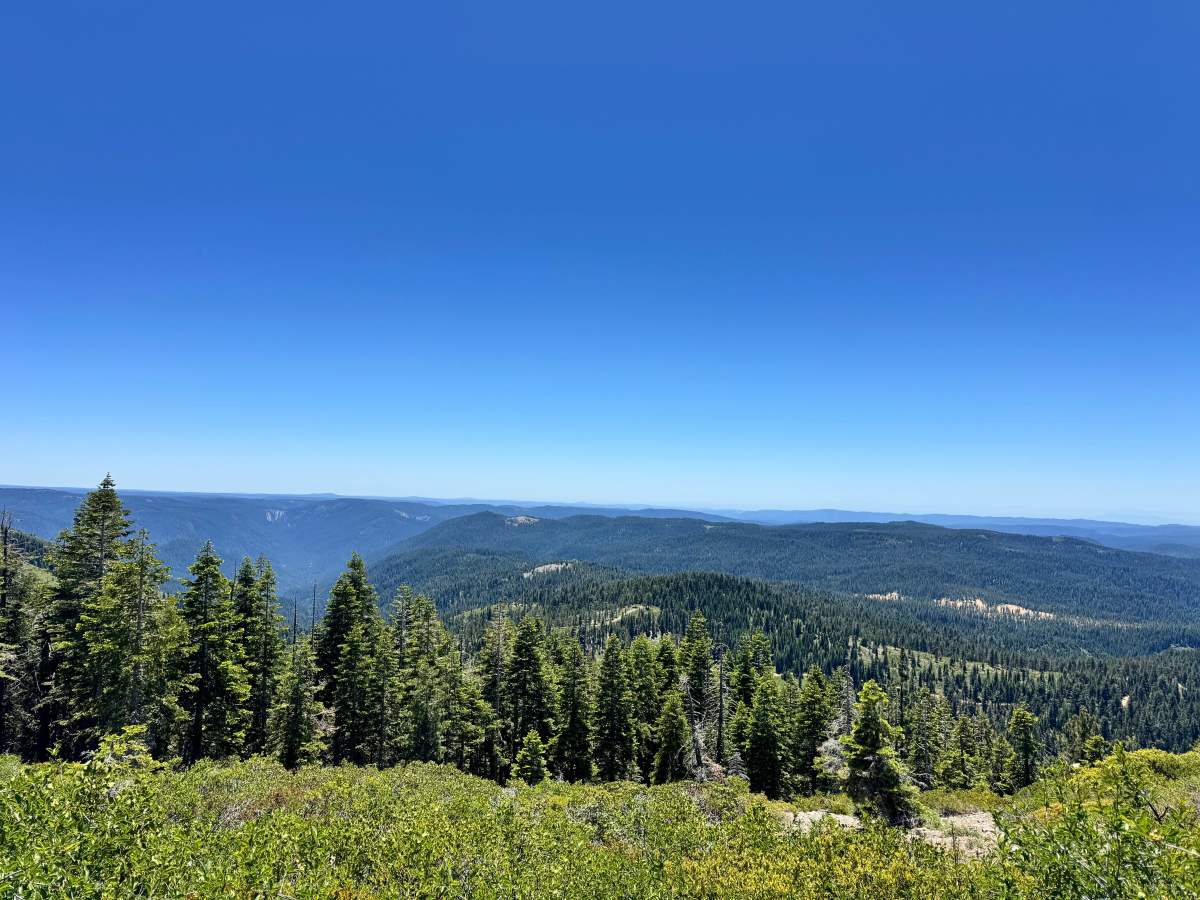 Saddleback Lookout - FS 25 photo 3