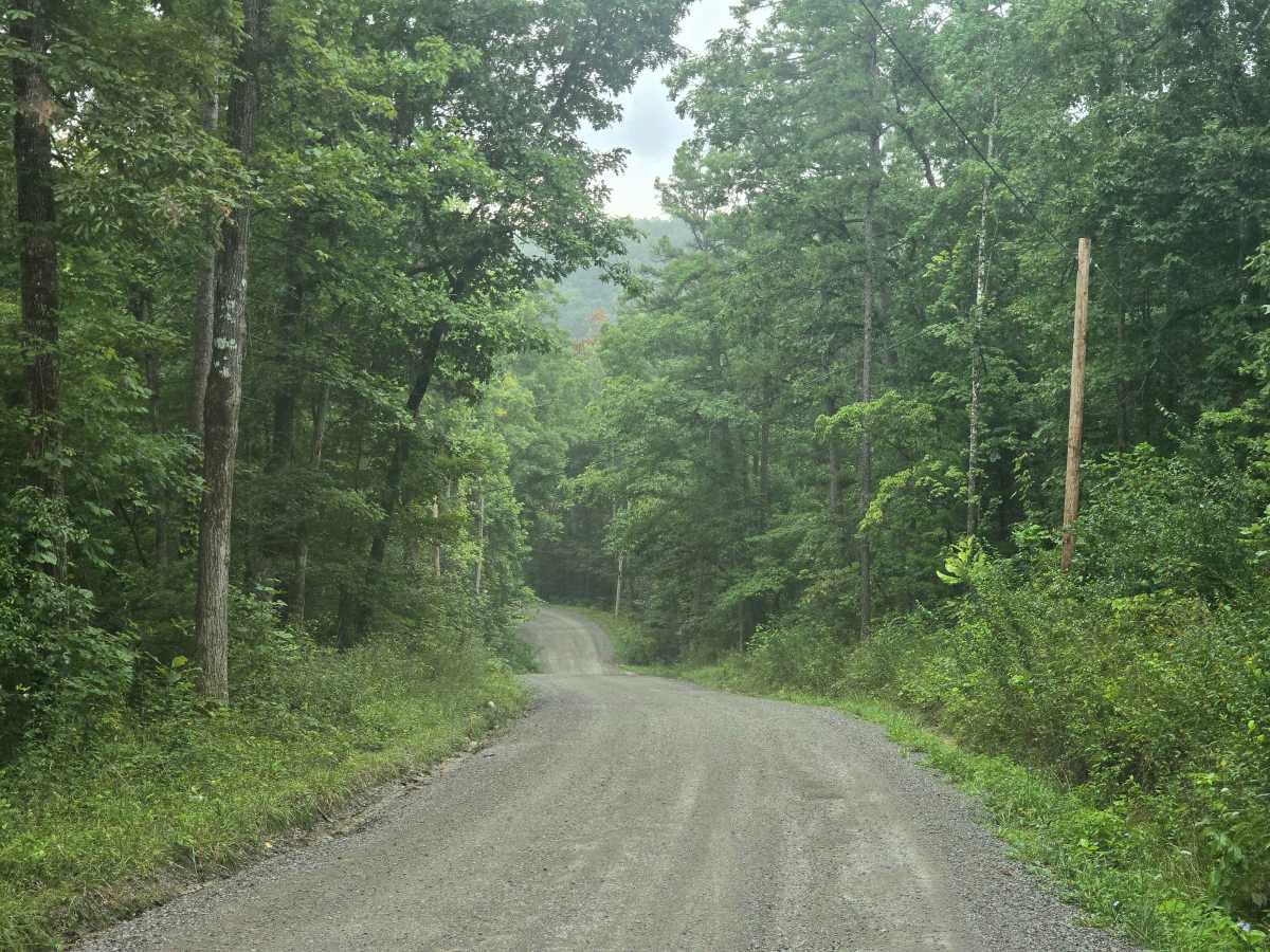 Stinking Creek Road photo 2