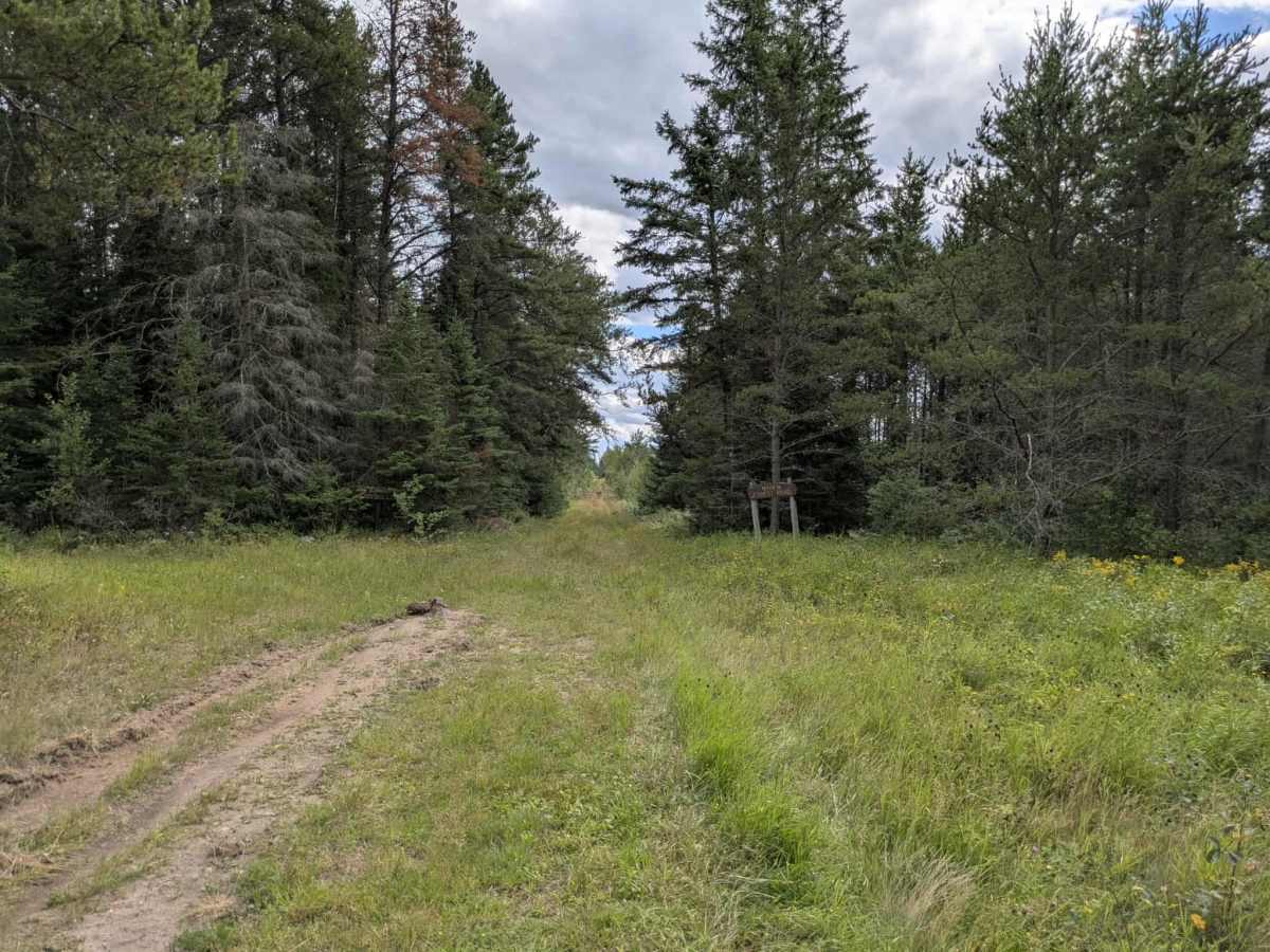 Nyhiem Forest Road photo 5