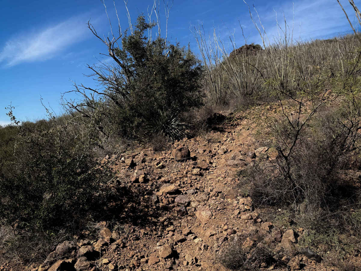 483A trail photo
