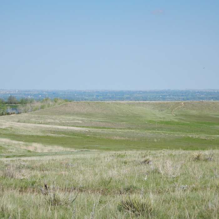 Near Cobalt Trail