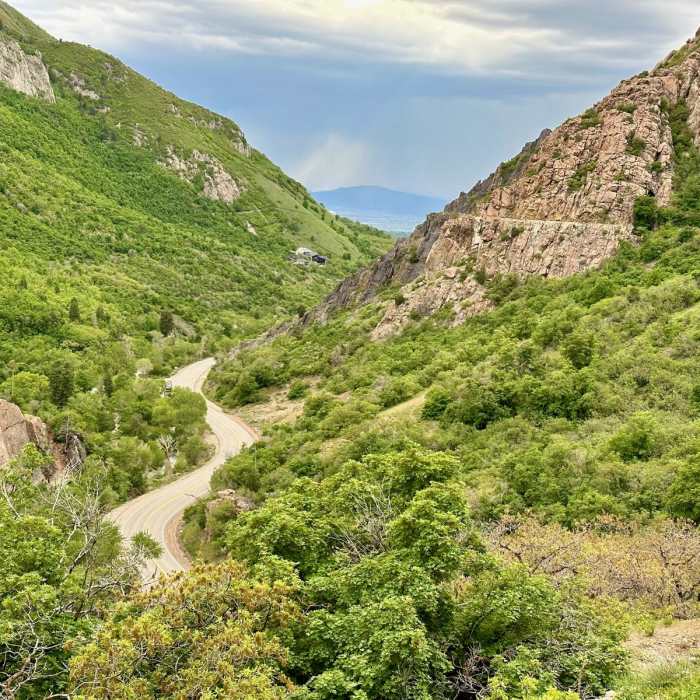 Near Granite Flume Trail