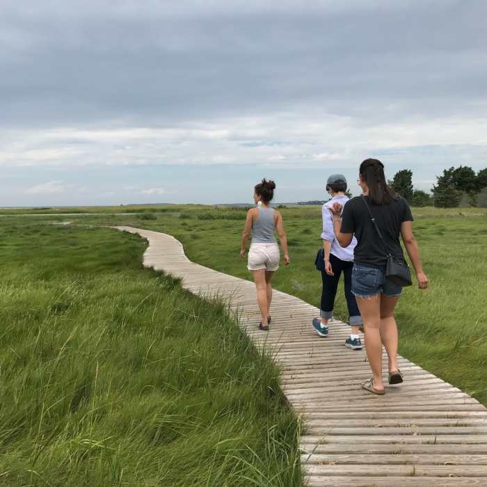 Near Wellfleet Audobon Loop