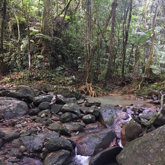 A stream comes just before a small bridge on the Angelito Trail. Near Angelito Trail