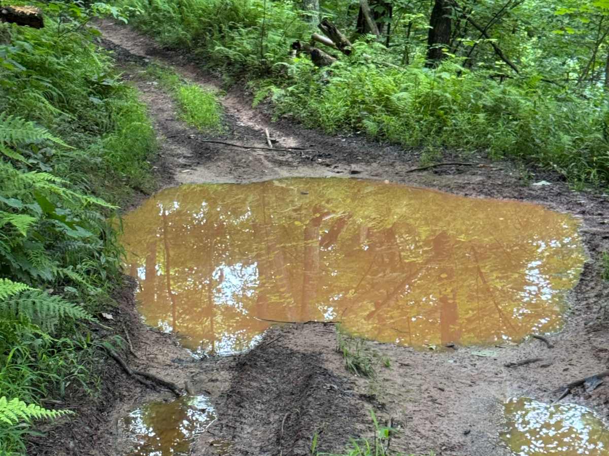 Trail 1 photo 6