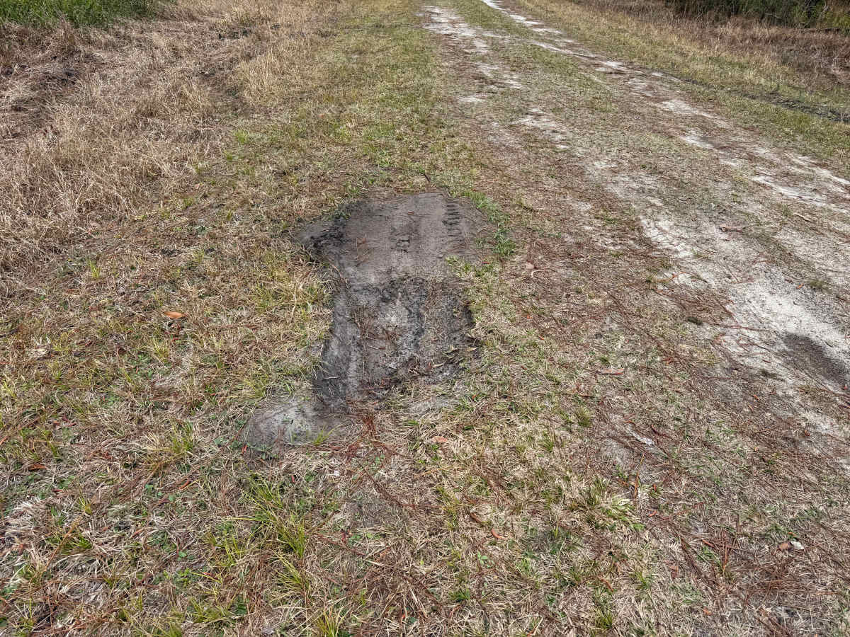 FR 783 photo 5