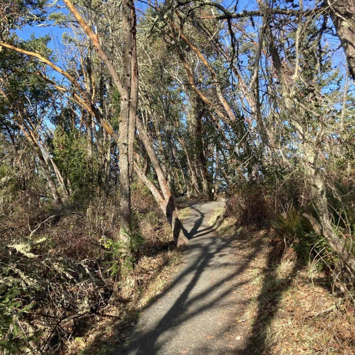 Near Wild Iris Ridge