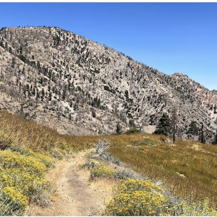 Near Mount Lewis Near Mount Lewis