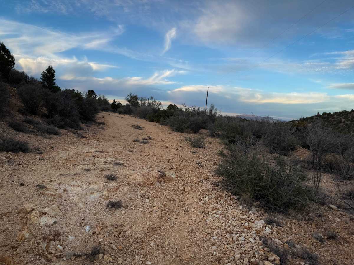 H1371 photo 6
